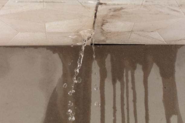 Professional Sewage Cleanup technician working in Belmont, MA